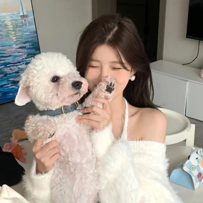 妙狗拯救万圣节 海报